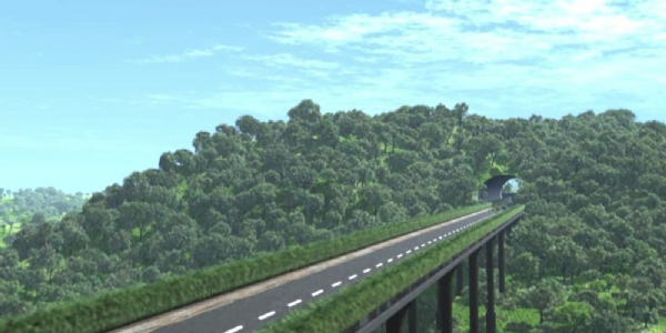 Kaziranga Elevated Road project